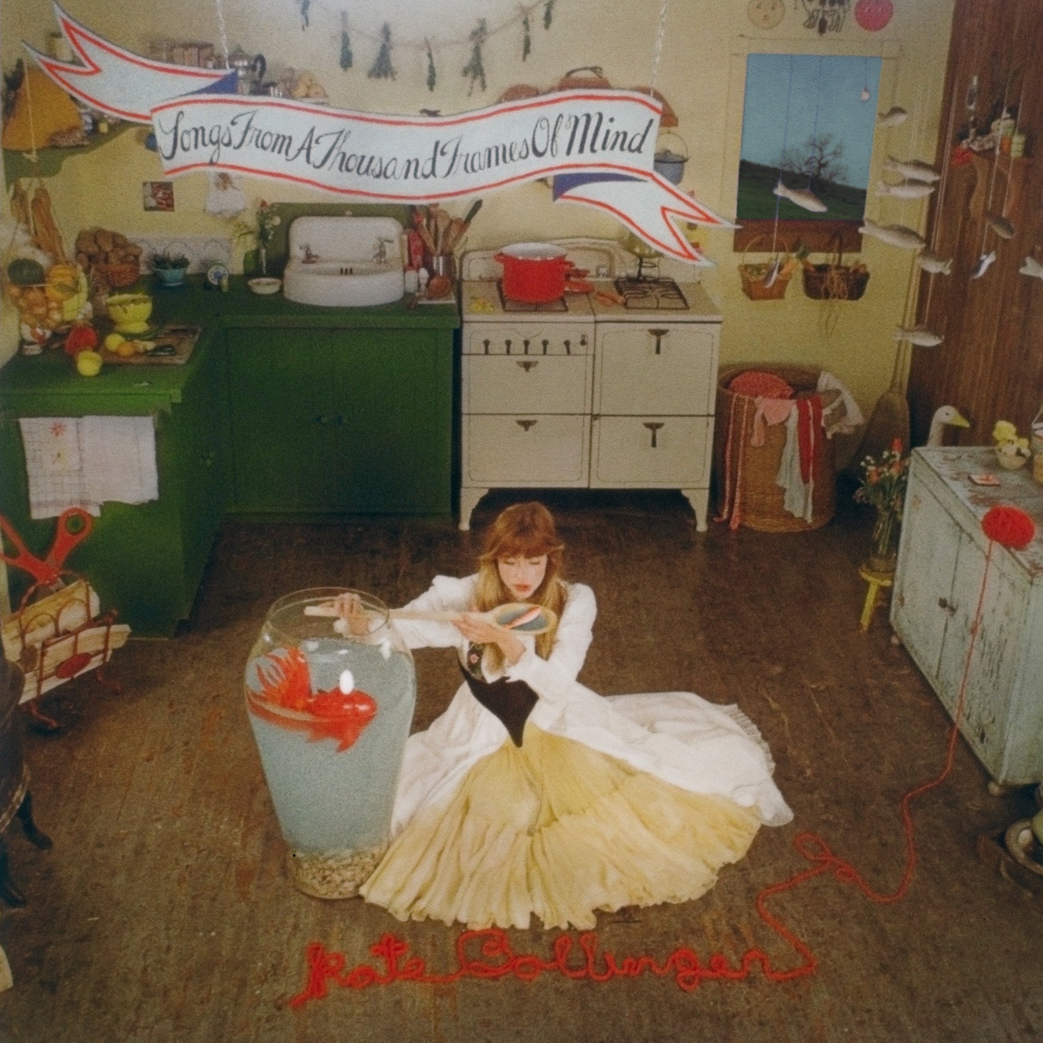 Songs from a Thousand Frames Of Mind LP by Kate Bollinger album artwork