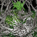 Gloomlord LP by Worm album artwork