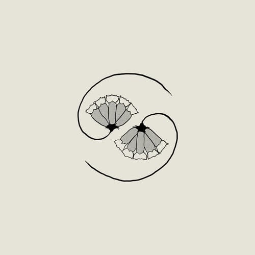 G_d's Pee at State's End LP by Godspeed You Black Emperor album artwork