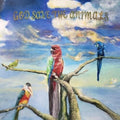 God Save the Animals LP by Alex G album artwork