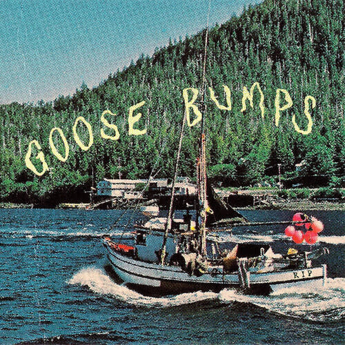Goose Bumps LP by Boyscott album artwork