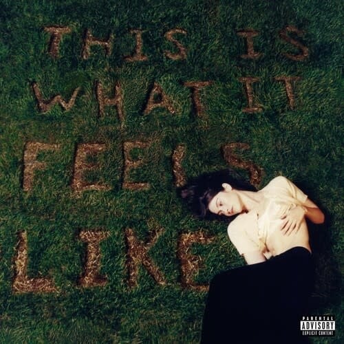 This is What it Feels Like LP by Gracie Abrams album artwork