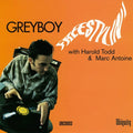 Freestylin' LP by Greyboy album artwork