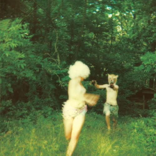 Harmlessness LP by The World Is a Beautiful Place & I Am No Longer Afraid to Die album artwork