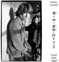 Hold That Tiger 2LP by Sonic Youth album artwork