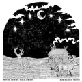 House in the Tall Grass LP by Kikagaku Moyo album artwork