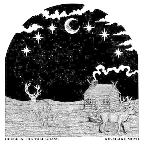 House in the Tall Grass LP by Kikagaku Moyo album artwork
