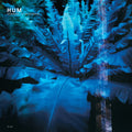 Downward is Heavenward 2LP by Hum album artwork