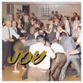 Joy as an Act of Resistance LP by Idles album artwork