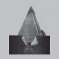 S Krysh Nashikh Domov LP by Molchat Doma album artwork