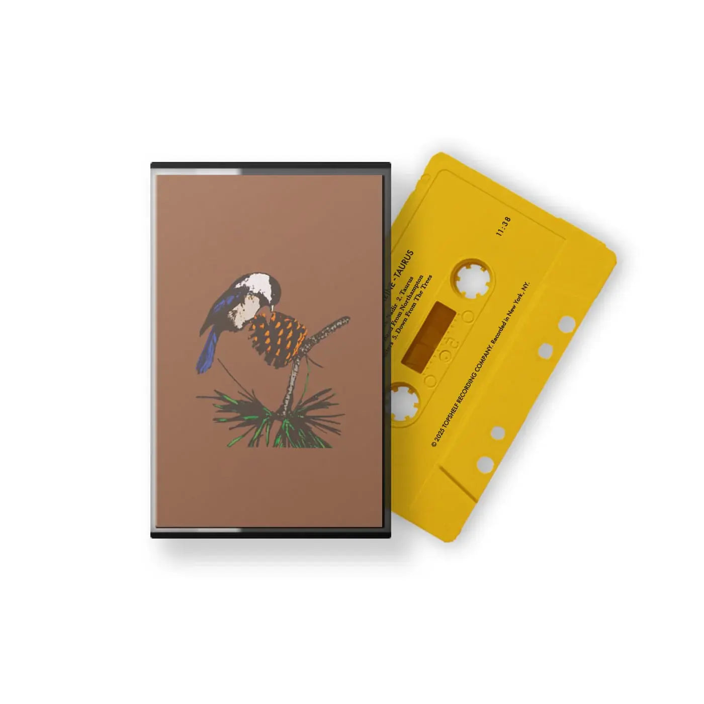 Taurus CASSETTE by Peel Dream Magazine album artwork