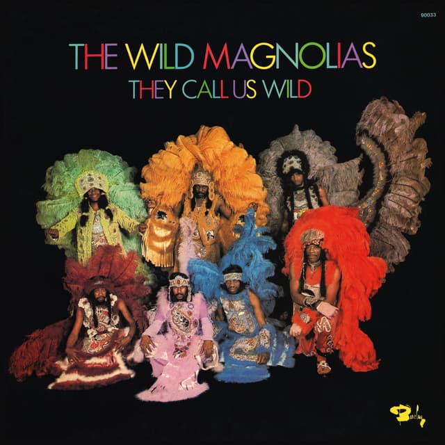 They Call Us Wild LP by The Wild Magnolias album artwork