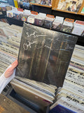 Evergreen LP by The Paper Kites album artwork