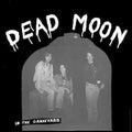 In the Graveyard LP by Dead Moon album artwork