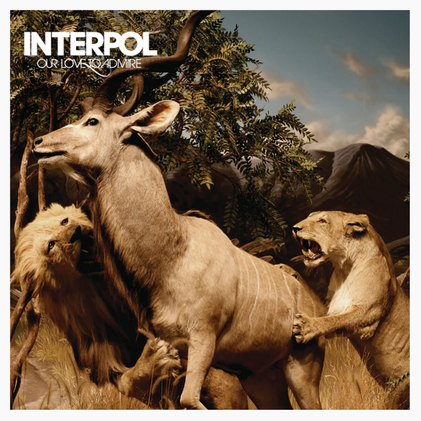 Interpol – Our Love to Admire Vinyl 2LP | Wax Trax Records