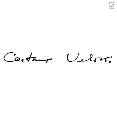 Caetano Veloso (Irene) LP by Caetano Veloso album artwork