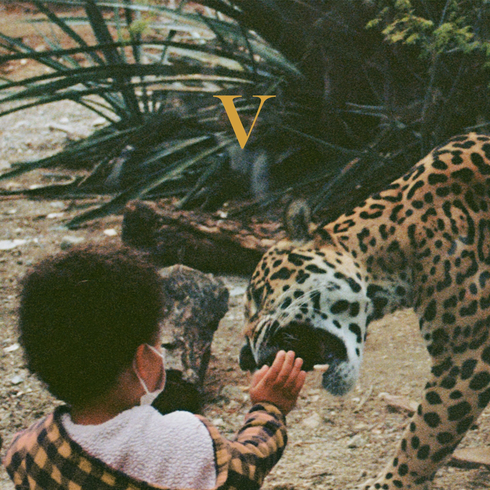V 2LP by Unknown Mortal Orchestra album artwork