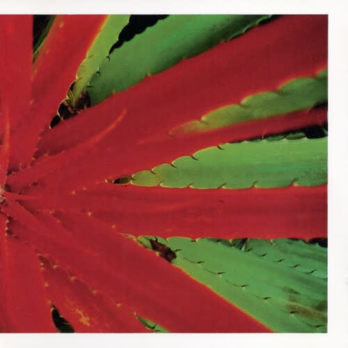 This Afternoons Malady LP by Jejune album artwork