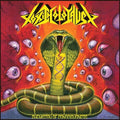 Chemistry of Consciousness LP by Toxic Holocaust album artwork