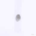 S H I N E LP by Tobias Jesso Jr. album artwork