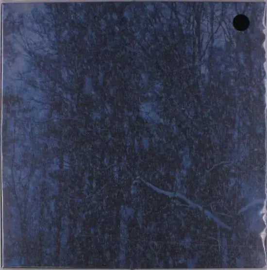 Never LP by Jesu album artwork