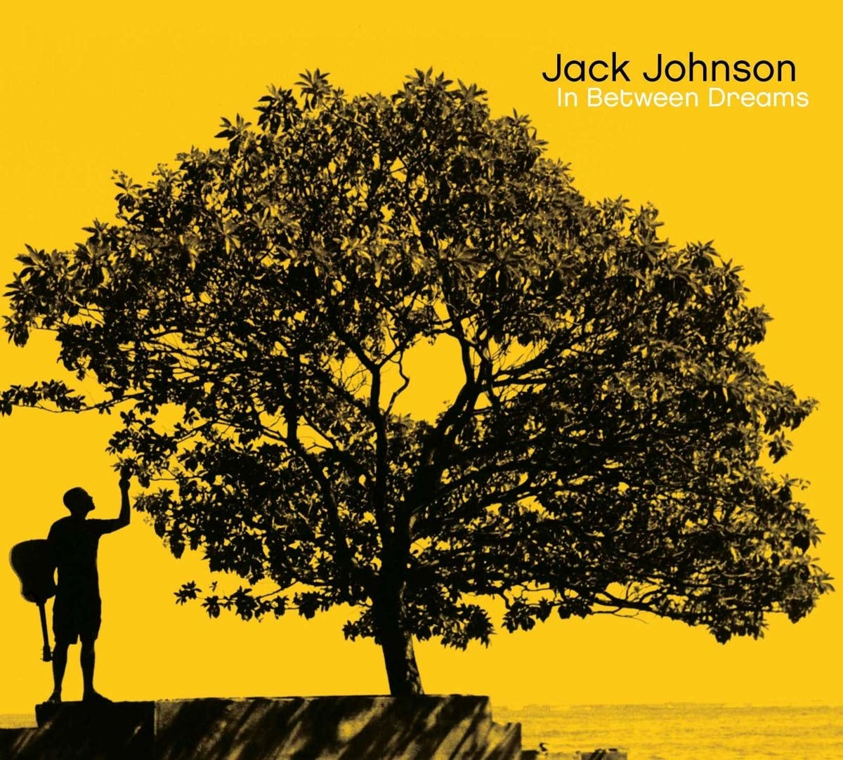 In Between Dreams LP by Jack Johnson album artwork