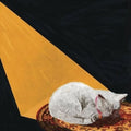 Permanent Pleasure LP by Joywave album artwork