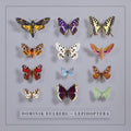 Lepidoptera LP by Dominik Eulberg album artwork