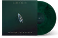 Another Year Older LP by Larry Fleet album artwork