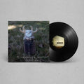Guttering LP by MJ Lenderman album artwork