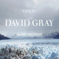 Life In Slow Motion (blue vinyl) by David Gray album artwork