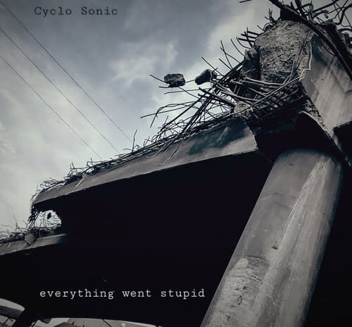 Everything Went Stupid LP by Cyclo Sonic album artwork
