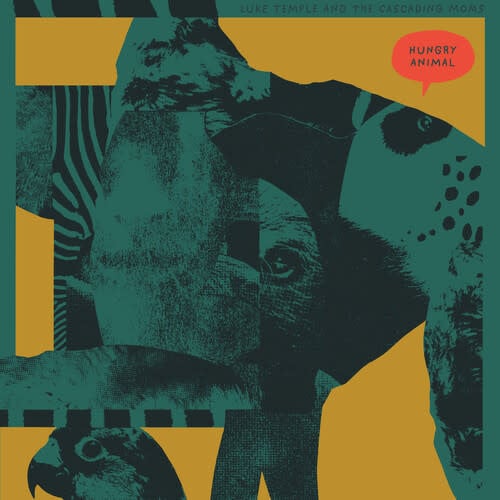Hungry Animal LP by Luke Temple album artwork