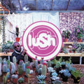 Lovelife LP by Lush album artwork