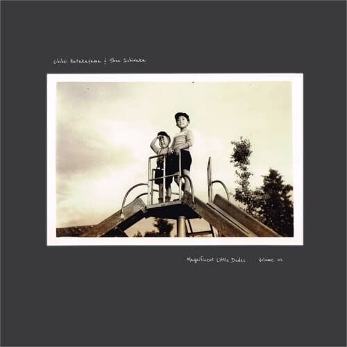 Magnificent Little Dudes Vol.1 LP by Chihei Hatakayama album artwork