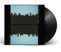 Now that the Light is Fading 10" by Maggie Rogers album artwork