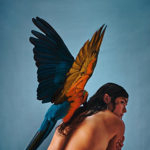 Malegria LP by Reyna Tropical album artwork