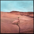 Strays LP by Margo Price album artwork