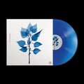 Get Sunk LP by Matt Berninger album artwork