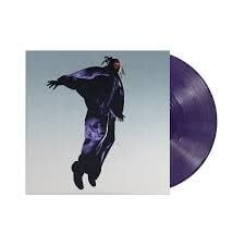 The Pilot LP by Mavi album artwork