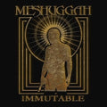 Immutable: The Indelible Edition 2LP by Meshuggah album artwork