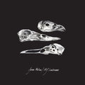 The Last Three Human Words 7" by Jason Molina album artwork