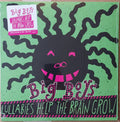 Lullabies Help the Brain Grow LP by Big Boys album artwork