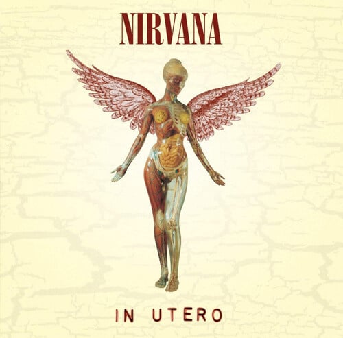 In Utero LP by Nirvana album artwork