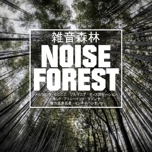 Noise Forest 2LP by Various album artwork
