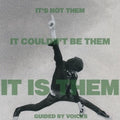 It's Not Them. It Couldn't Be Them. It Is Them! LP by Guided by Voices album artwork