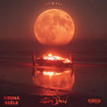 Stendhal 2LP by Ozuna & Beele album artwork