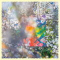 Sixteen Oceans 2LP by Four Tet album artwork