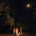 Spring Grove LP by The Ophelias album artwork
