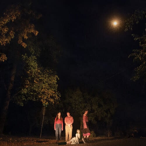 Spring Grove LP by The Ophelias album artwork